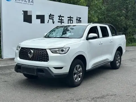 Great Wall 炮 2021