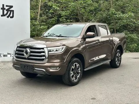 Great Wall 炮 2021