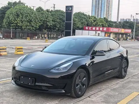 Tesla Model 3 2021