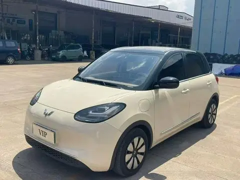 Wuling Bingo 2025