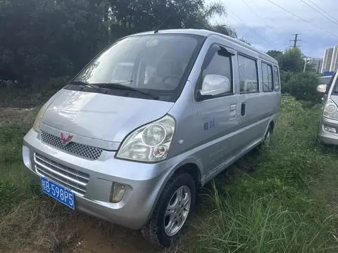 Wuling 荣光 2012