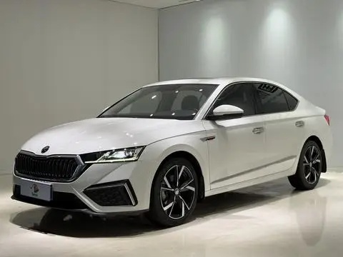 Skoda 明锐 2022