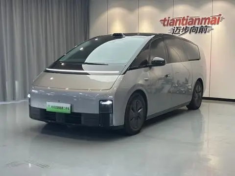 Li MEGA 2024