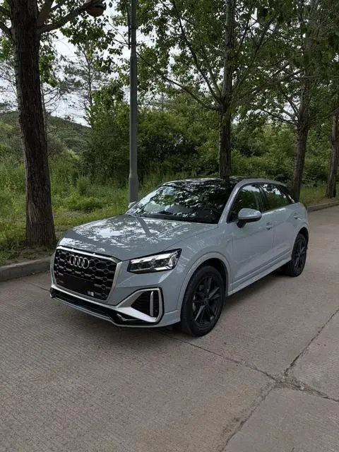 Audi Q2L 2022
