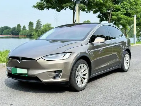 Tesla Model X 2016 — фото 1