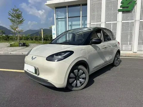Wuling Bingo 2023