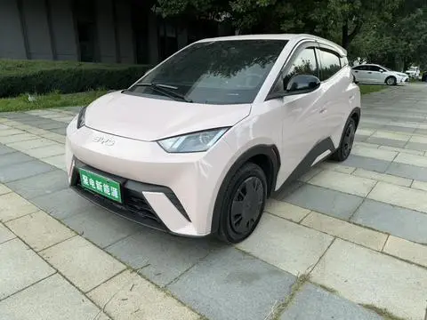 BYD Seagull 2024