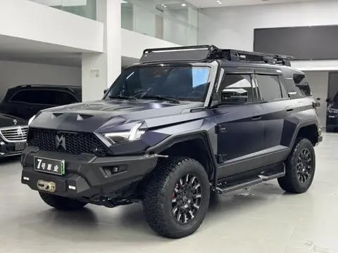 Mengshi 917 2024
