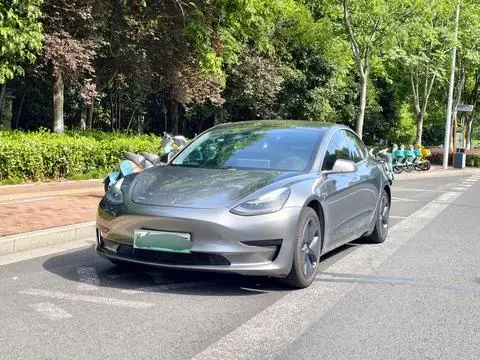 Tesla Model 3 2020