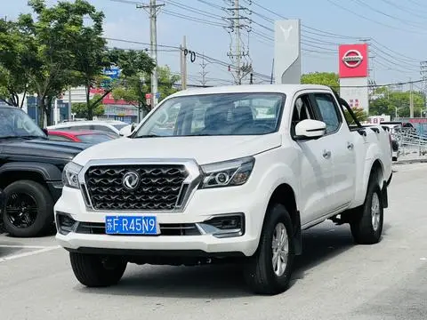 Dongfeng 锐骐6 2024