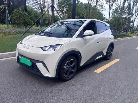BYD Seagull 2024