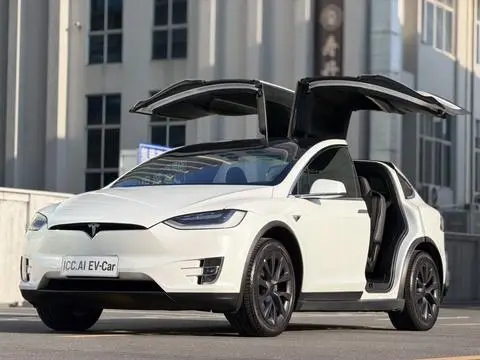 Tesla Model X 2019