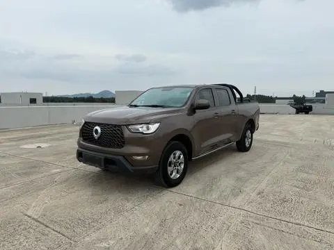 Great Wall 炮 2021