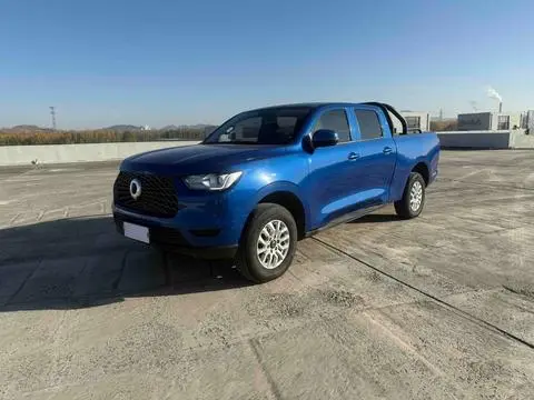 Great Wall 炮 2019