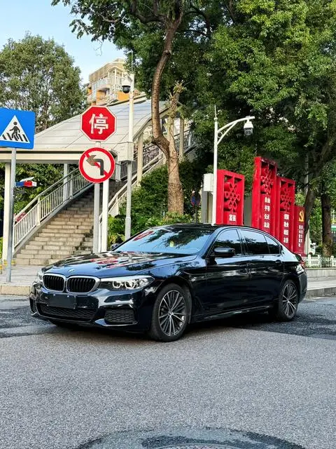 BMW 5 Series 2019