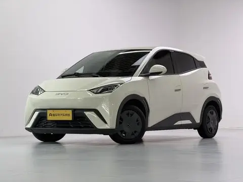 BYD Seagull 2024