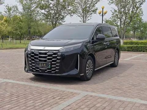 BYD 夏 2025