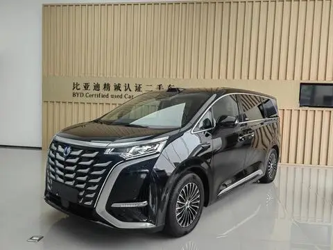 Denza D9 DM 2025