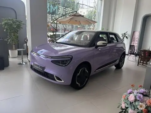 Dongfeng 纳米01 2024
