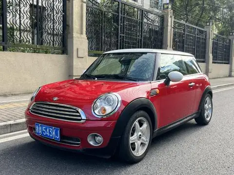 MINI MINI 2010