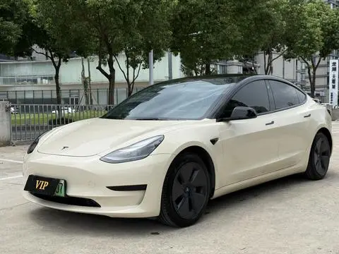 Tesla Model 3 2021