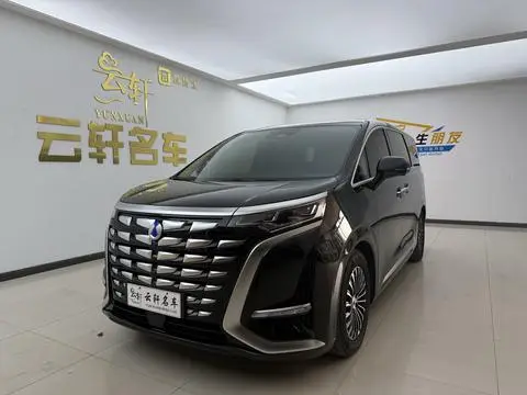 Denza D9 DM 2024