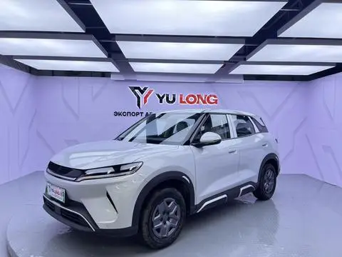 BYD 元UP 2025