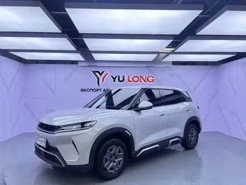 BYD 元UP 2024