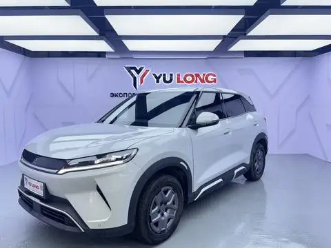 BYD 元UP 2025