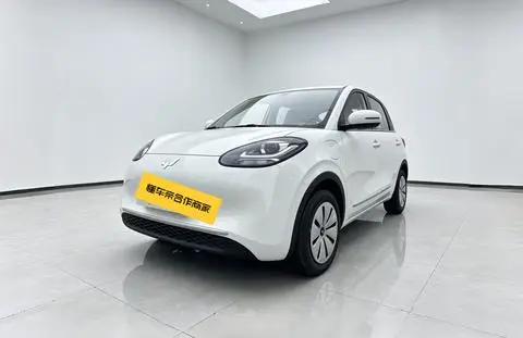 Wuling Bingo 2024