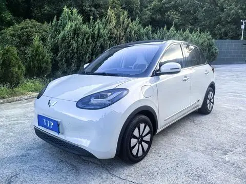 Wuling Bingo 2025