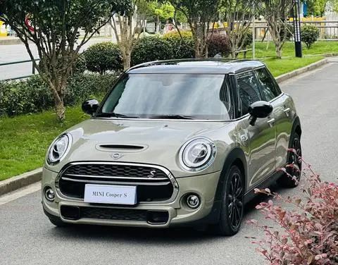 MINI MINI 2019