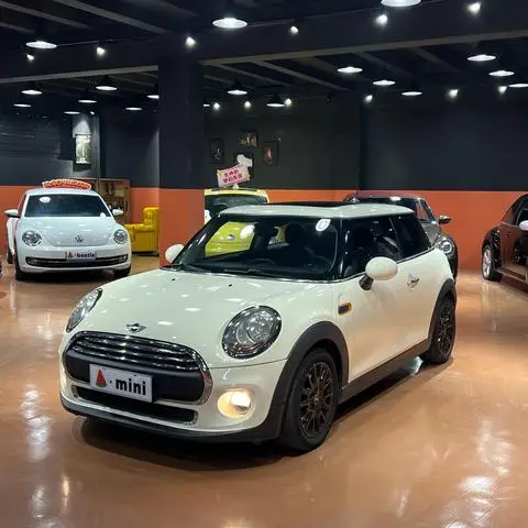 MINI MINI 2014