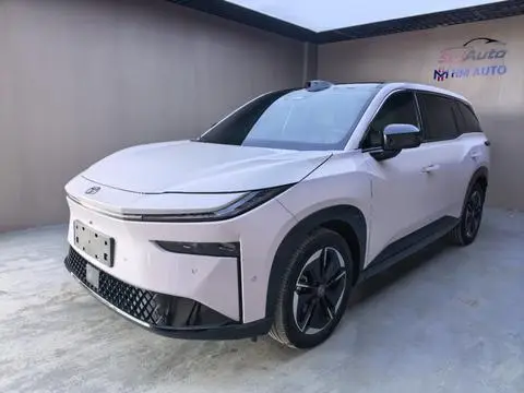 Toyota 铂智3X 2025