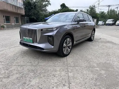 Hongqi E-HS9 2020