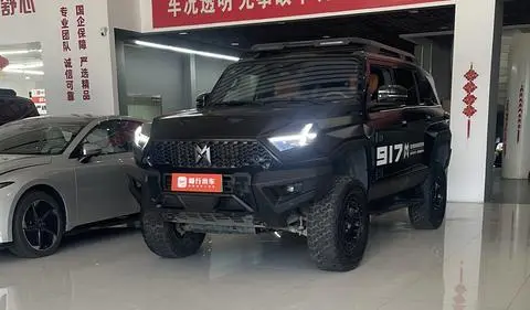 Mengshi 917 2023