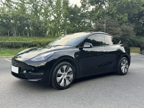 Tesla Model Y 2021 — фото 1