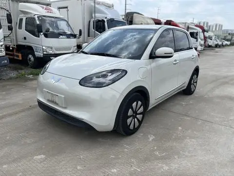 Wuling Bingo 2024