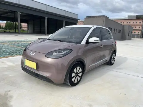 Wuling Bingo 2023