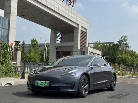 Tesla Model 3 2019