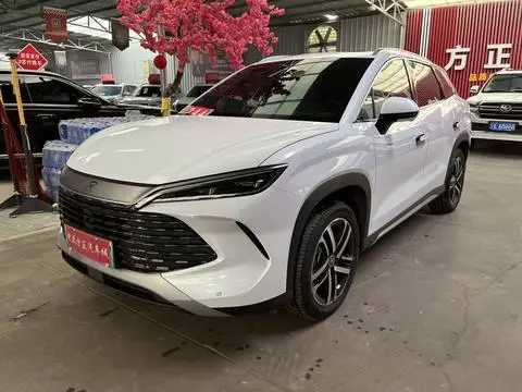 BYD Song L DM 2024
