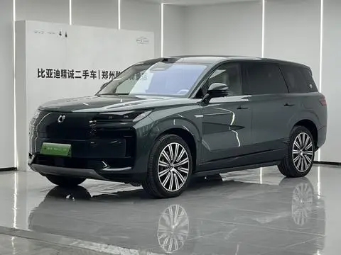 Denza N9 DM 2025