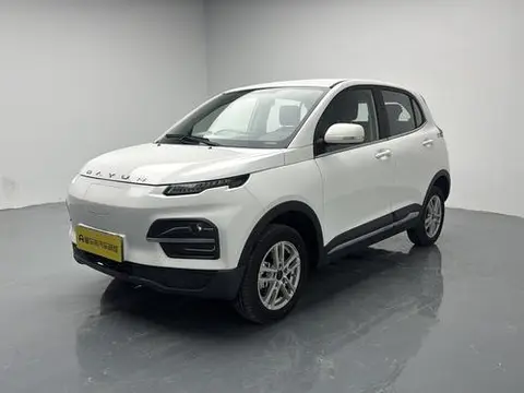 Dayun 悦虎 2022