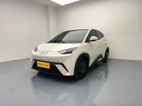 BYD Seagull 2024