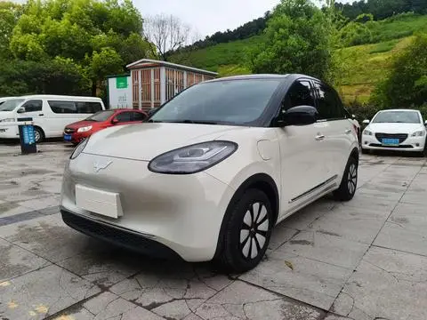 Wuling Bingo 2023