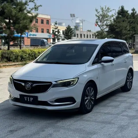 Buick GL6 2019