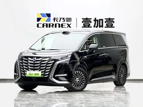 Denza D9 DM 2025