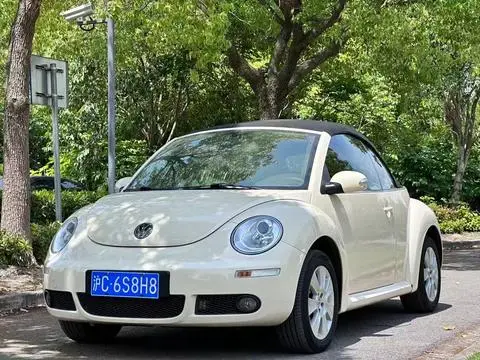 Volkswagen 甲壳虫 2010
