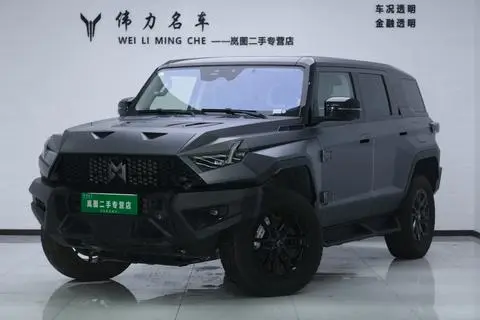 Mengshi 917 2023