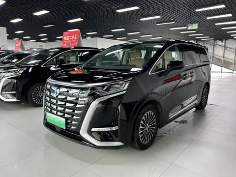 Denza D9 DM 2024